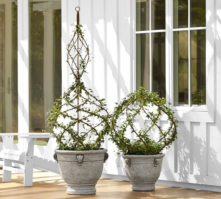 Pottery Barn Live Ivy Spiral Topiary ShopStyle Clothes and Shoes
