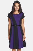 Thumbnail for your product : Ellen Tracy Colorblock Ponte Fit & Flare Dress