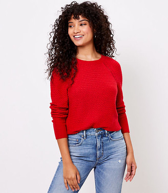 loft shirttail sweater