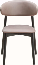 Rosecliff Heights Lanae Polished Microfiber & Finish Side Chair