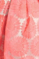 Thumbnail for your product : Trixxi Embroidered Fit & Flare Dress (Juniors)