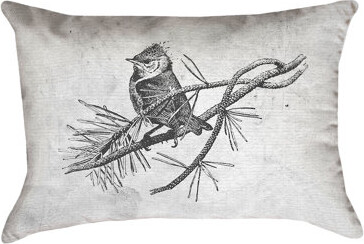 ArtVerse Katelyn Smith Vintage Bird Double Sided Lumbar Pillow