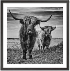Ready2hangart Highlands by Stephane Pecqueux - Picture Frame Print on Wood