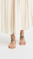 Thumbnail for your product : Giuseppe Zanotti Flat Palm Tree Sandals