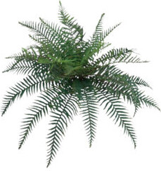 Larksilk 2pc River Mixed Fern Plant W/ 30 Silk Fronds - 38" Wide