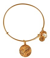 Thumbnail for your product : Alex and Ani Sister Bangle