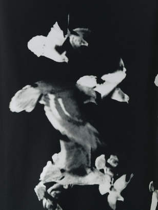 A.F.Vandevorst floral print skirt