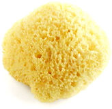 Thumbnail for your product : Baby Buddy Bath buddies natural bath sponge