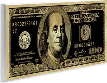 Dakota Fields Inverted Hundred Bill Wall Plaque Art by Madeline Blake