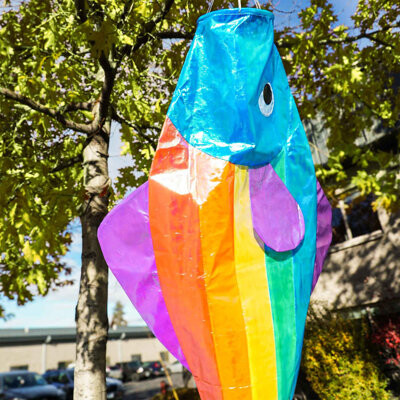 In The Breeze 48" Iridescent Windsock