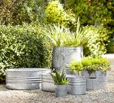 Thumbnail for your product : Pottery Barn Eclectic Galvanized Metal Planters