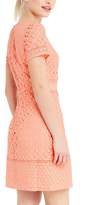 Thumbnail for your product : Oasis Isla Lace Shift Dress