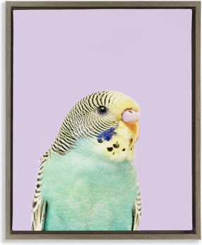 Bay Isle Home Pastel Budgie Bird Framed Floater Canvas Wall Art by Sisi and Seb