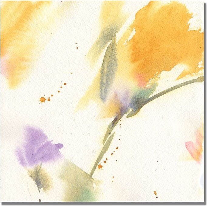 Trademark Fine Art Shelia Golden 'Flowers Abstract' Canvas Art 35x35 Inches