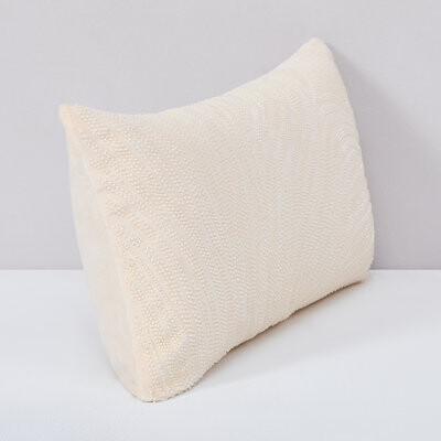 Special Edition by Lush Decor Swirls & Gills Velvet Cotton Pillow Cover Cream