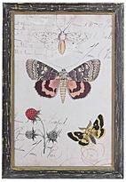 Thumbnail for your product : Home Decorators Collection 13 in. H x 9.5 in. W Herbarium Prints Framed Wall Art (Set of 6)