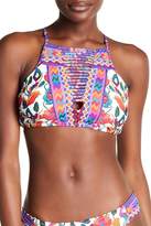 Thumbnail for your product : Nanette Lepore Antigua Stargazer High Halter Bikini Top