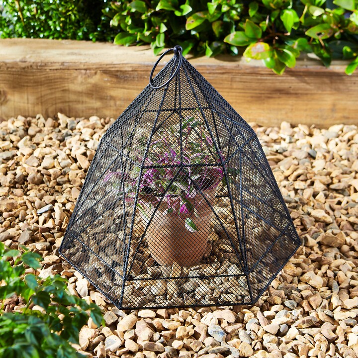 Natural History Museum Plant Cloche Black ShopStyle Decor