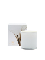 Thumbnail for your product : Dayna Decker Amaryllis Candle (6 OZ)