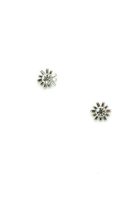 Thumbnail for your product : Elizabeth Cole Regina Earrings