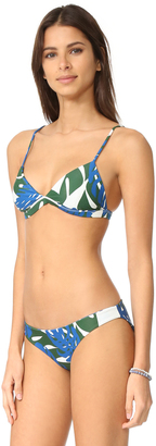 Mikoh Belize Triangle Bikini Top