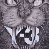 Thumbnail for your product : Y-3 Lion Face T Shirt