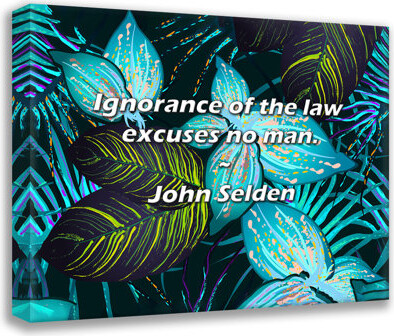 Dakota Fields Artsy Quote "Ignorance of the law excuses no man." By John Selden Gallery Wrapped Canvas