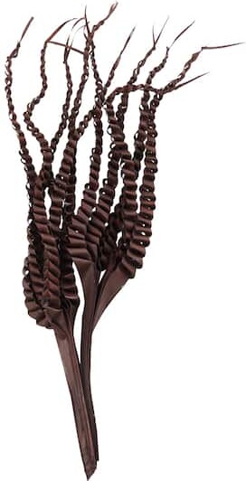 30" Dark Brown Dried Plant Palm Leaf Natural Foliage By Ivory And Iris