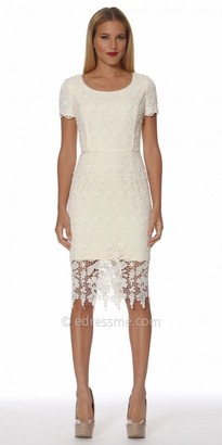 NUE by Shani Scalloped Lace Fitted Short Sleeve Cocktail Dress