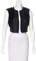 Thumbnail for your product : Diane von Furstenberg Fur-Trimmed Suede Vest