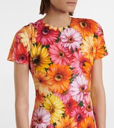 Thumbnail for your product : Dolce & Gabbana Floral stretch-silk midi dress