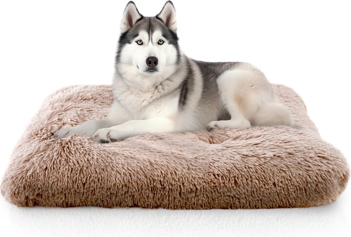 Details Pet Bed Mat, Plush Eyelash Faux Fur Calming Blanket Carpet Rug Mattress for Cats and Dogs in Tufted Design