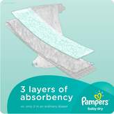 Thumbnail for your product : Pampers Baby Dry 44-Count Size 1 Jumbo Pack Disposable Diapers