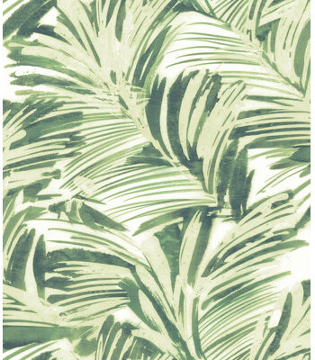Beachcrest Home Nancee Timmothy Fronds 33' L x 20.5" W Wallpaper Roll