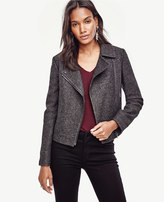 Thumbnail for your product : Ann Taylor Notched Wool Blend Moto Jacket