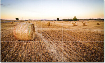 Picture-Tiles.com Farm Photo 12'' x 12'' Satin Ceramic Decorative Mural