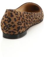 Thumbnail for your product : Manolo Blahnik BB Leopard-Print Suede Flats