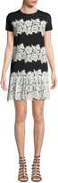 Thumbnail for your product : Valentino Crewneck Short-Sleeve Lace Stretch-Viscose Short Dress