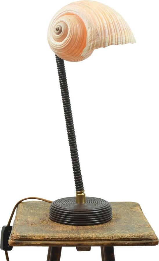 Tennant New York L’escargot Table Lamp In Coiled Brown Leather With Natural Sea Snail Shade