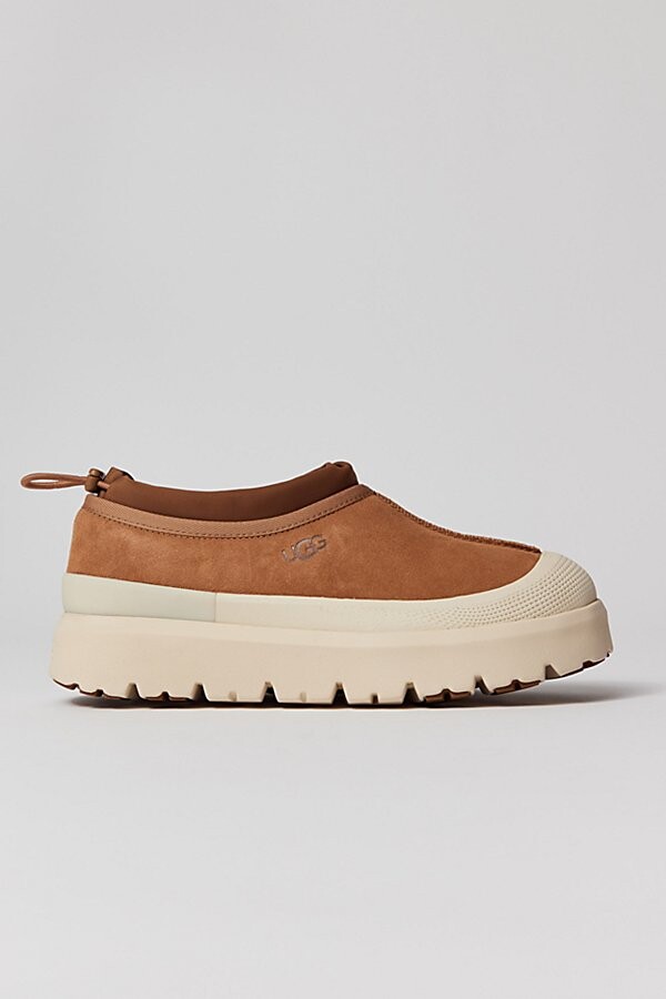 UGG Men's Tasman Weather Hybrid Slipper Clog in Mustard Seed/Summer Wheat