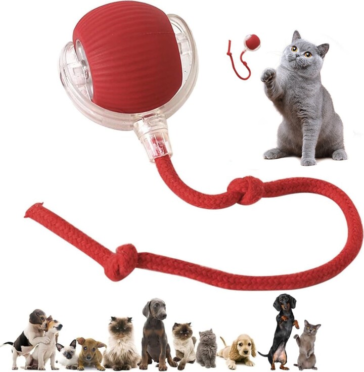 Pawsible Smart Pet Chase Ball with Speedy Tail Rope Cat Toy
