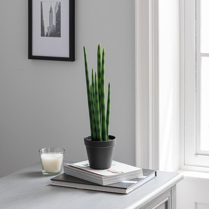 Dunelm Artificial Snake Plant in Black Pot 50cm Green ShopStyle