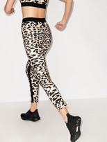 Thumbnail for your product : Rabanne Leopard Print Stretch-Fit Leggings