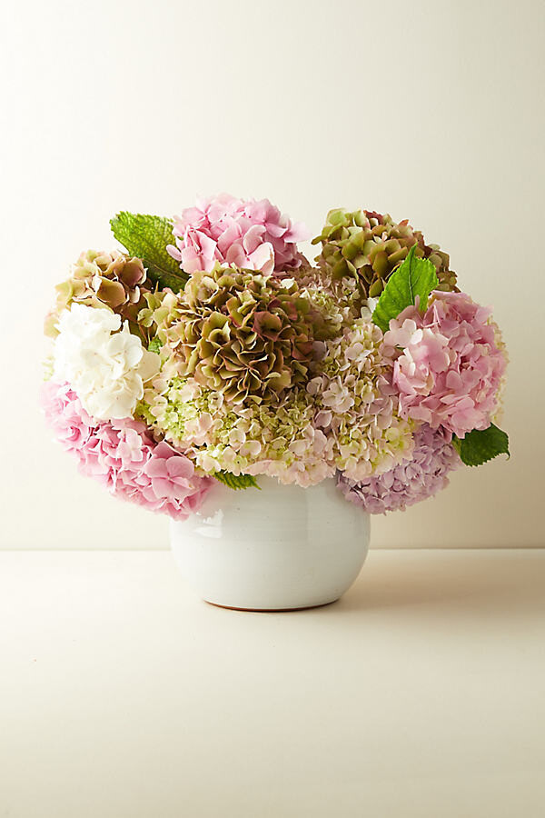 Fresh Hydrangea Bunch at Terrain