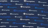 Thumbnail for your product : Champion Logo Branded Crew Neck T-Shirt