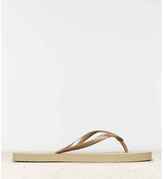 Thumbnail for your product : American Eagle Rubber Flip Flop