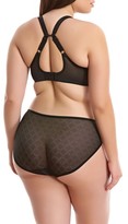 Thumbnail for your product : Elomi Plus Size Women's Opal Lace Briefs