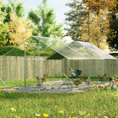 Walk - In Chicken Run Galvanized Poultry Cage With And Water Protecting Removable Cover For Outdoor Use 10' L X 20' W 6.56' H Proof