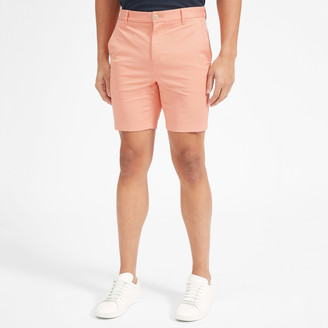 everlane midweight slim chino