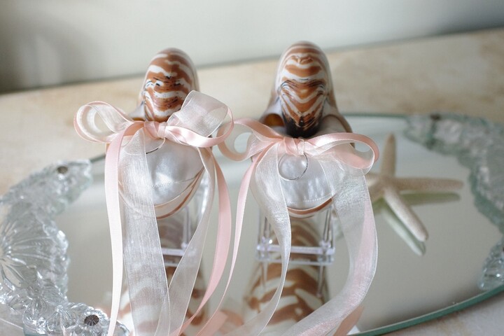 Etsy Beach Wedding Double Ring Bearer - Nautilus Shell Eco Pillows
